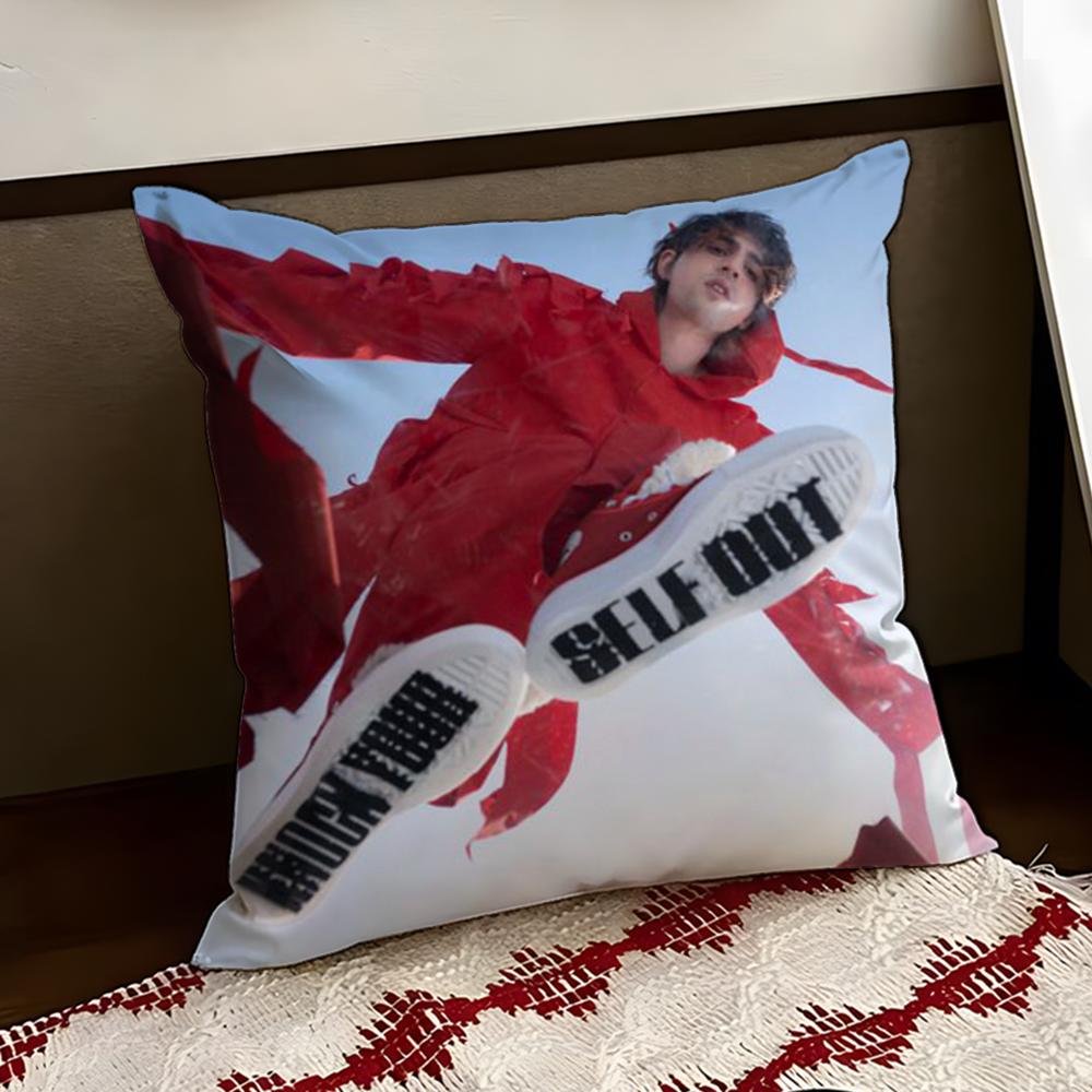 Singer PPorter RRobinson Cushion Cover Reversible Soft Durable Pillow Cover Home Car MultiScene Use for Daily Comfort