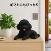 Realistic Resin Toy Poodle Decorative Ornament for Entryway or Living Perfect for a Soothing and Beloved Pet Figurine, Room, (Black) [Used]