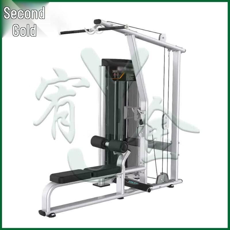 Commercial Dual-Function Lat Pulldown and Row Machine