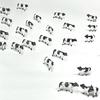 Free Range Cow Black White Dairy Farm 30 Heads Set 1150 Model Animal Animals Livestock Figure Railway Diorama Production Miniature