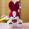 Cute Rabbit Plush Toy For Kids Birthday Gift With Soft Pp Cotton Stuffing