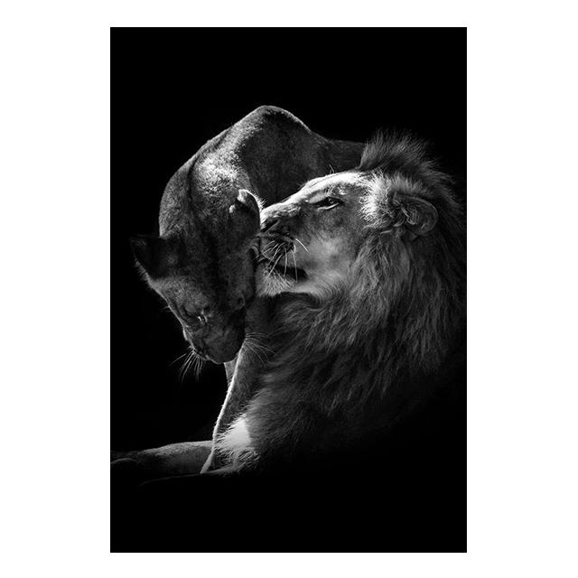 Animals Black And White Lions Love Family Prints Poster Canvas Painting Modern Wall Art Pictures Living Room Bedroom Home Decor