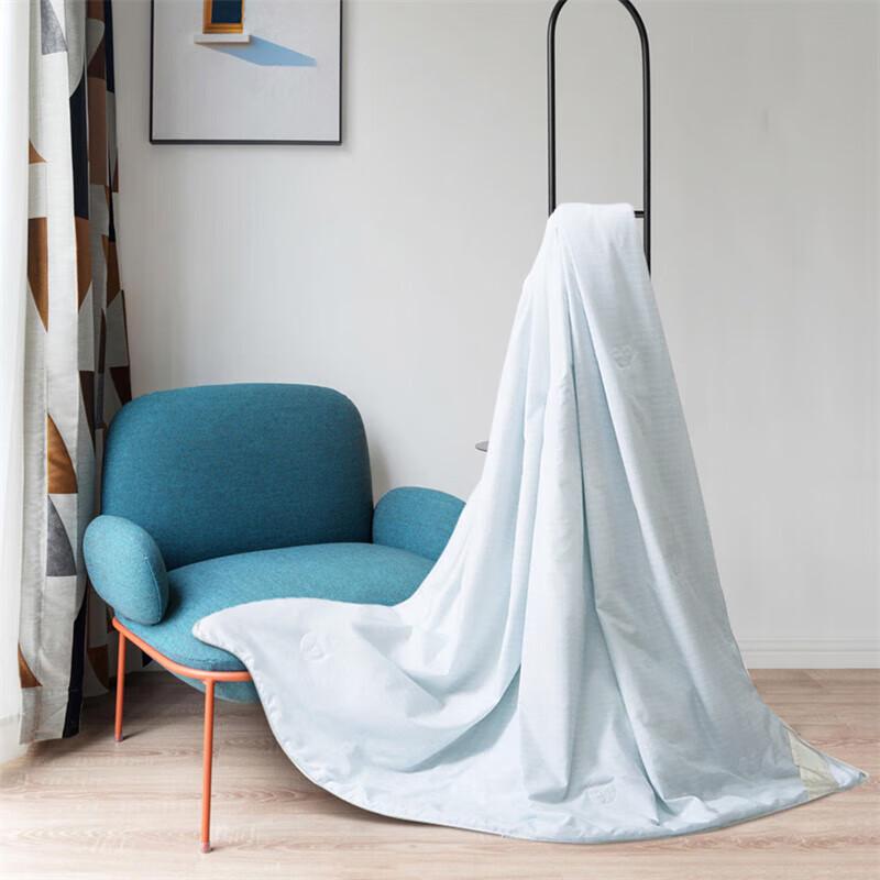 Mercury Home Textiles Xindela Tussah Silk Quilt