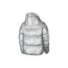 Nike Мужские пуховики Серебристый с капюшоном Умеренный пуховик BV4709-096