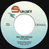 7inch Record CARL MEEKS - Big And Broad / Version TRSHJ1 Sunset 2021 Europe Reggae, Ska & Dub