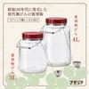 Aderia (ADERIA) Reproduction Plum Bottle, 4L, Made In Japan, Individually Boxed, Storage Container, Plum Wine Bottle, Showa-Era Retro Storage Jar with
