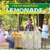 2 x 10 ft Lemonade Sign Vinyl Banner Fresh Squeezed Lemonade Stand Supplies Lemon Flag for Indoor Outdoor Business Restaurant Advertising Banner