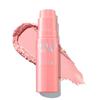 Идеальный стик-румяна Glam Stick PK01 Розовая Фея 6 г_США