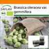 Garden In the Bag - Organic - Brussels Sprout - Groninger - 30 Seeds - With Substrate In a Fitting Stand Up Bag - Brassica Oleracea