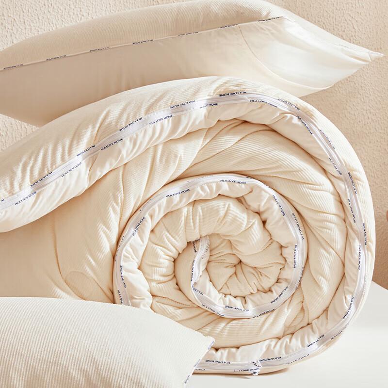HLA All-Season Thickened Detachable Duvet Set