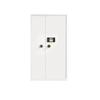 l100xw58xh180cm double door password safe