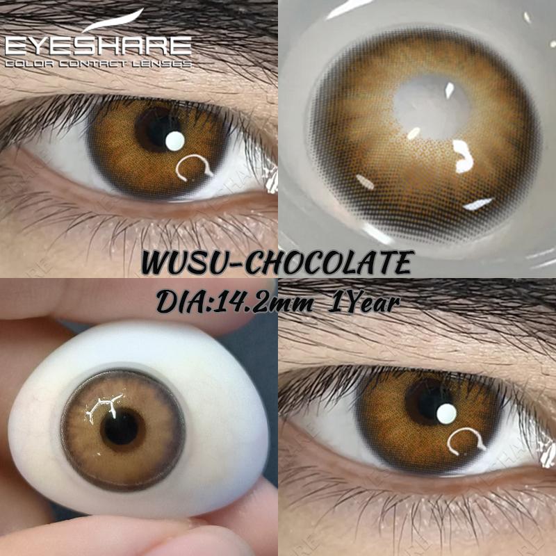 Eyeshare 2pcs Natural Colored Contact Lens for Eyes Gray Colored Lens Eyes Beautiful Pupil Yearly Makeup Green Eye Contacts Lens
