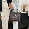 2025 Popular Autumn and Winter Bags Women's Niche Design Versatile Messenger Bags Casual Leopard Print Portable Bucket Bags