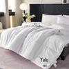 Yalu Cloud Soft Feather Silk Winter Quilt