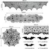 Set Halloween Decorations Black Lace Spider Web Halloween Tablecloth Runner Fireplace Mantel Scarf for Halloween Party 2025