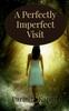 Книга A Perfectly Imperfect Visit