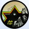 10inch Record SILVER FOX - Crazy Glue / Version JL005 Jah Life 1981 US Reggae, Ska & Dub