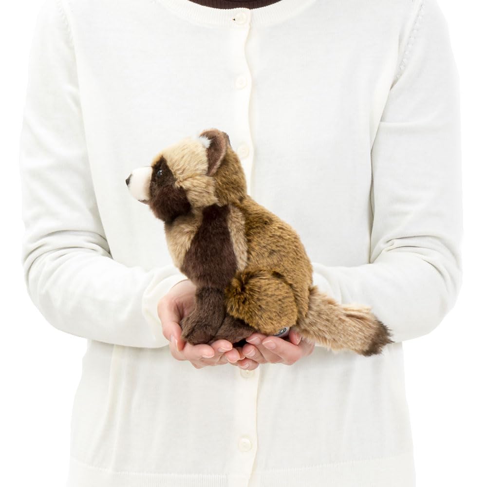 [COLORATA] Hondo Raccoon Dog Plush Toy (Realistic Animal BabySoft Touch) Realistic Raccoon Dog Plush Toy, Animal, Baby Toy, Doll, Gift, Birthday