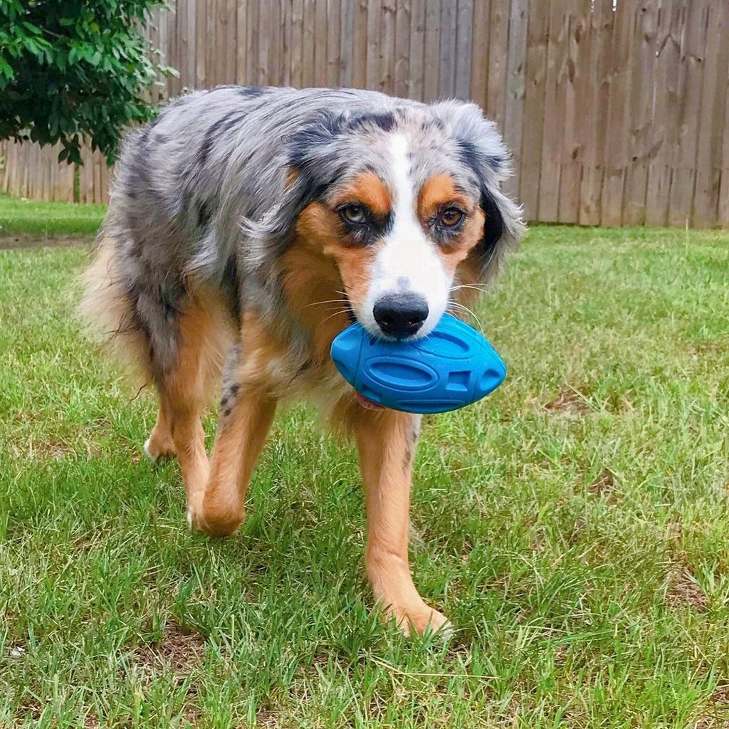 Squeaky Dog Toys For Aggressive Chewers Durable Rubber Chew Ball Teeth Grinding Cleaning Pet Toy For Medium Large Breed Dogs