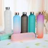 1L Water Bottle with Time Marker 32 OZ Fitness Sports Outdoor Travel Leakproof Drinkware BPA Free Frosted Drink Bottles