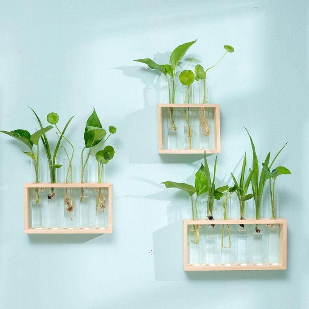 Wood Frame Test Tube Vases Transparent Glass Glass Planter Hydroponic Plants Container  Home Decor