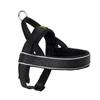 Dog Norwegian Harness Racing Black S