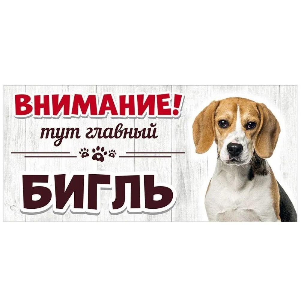 Злой Шпиц Померанский Знак, Металлическая Табличка на Дверь Забора 30x15см