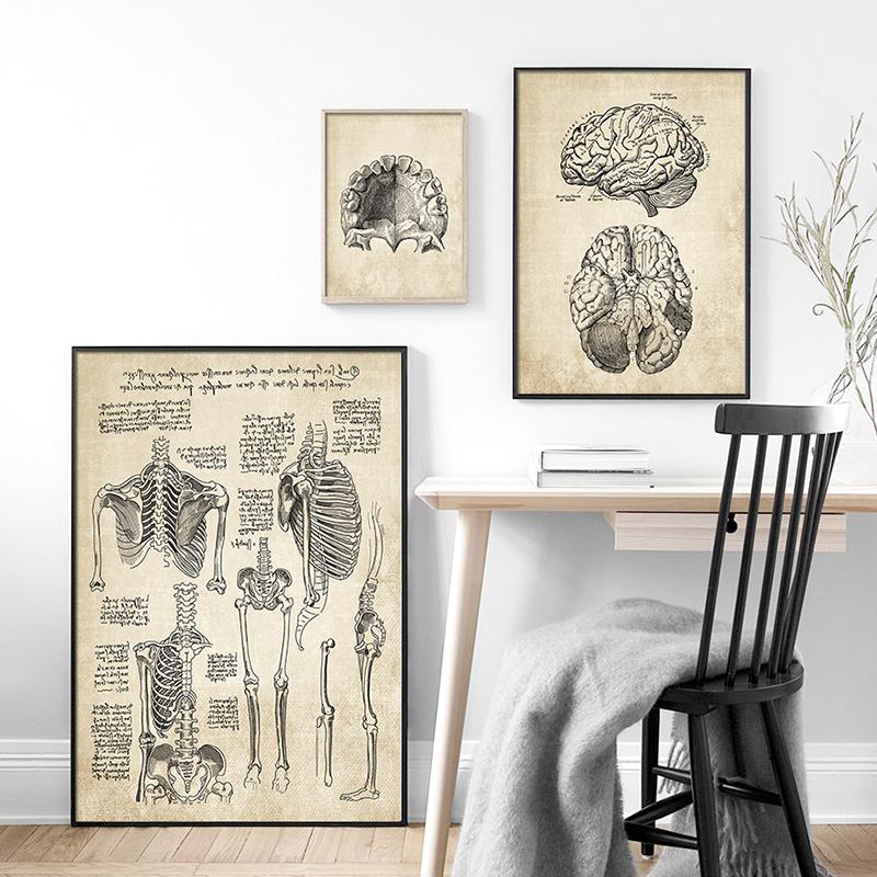 Постеры на скандинавскую тему и принты, настенная живопись на холсте, Анатомия, скелет, винтажные настенные панно для больницы, доктора, офисного декора