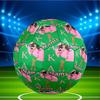 Custom Name Personalized Alpha Kappa Alpha Print Size 5 Soccer Ball Training & Match Football, for Team, Kicking, Gift for Football Enthusiasts