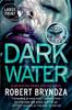 Книга Dark Water 3 Erika Foster by Robert Bryndza - Paperback