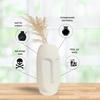 Latest Ceramic White Face Vase' 6 Inch - Set of 1 | Decorative Face Vase for Dried Flowers and Pampas Grass | Vases for Home Decor, Living Room