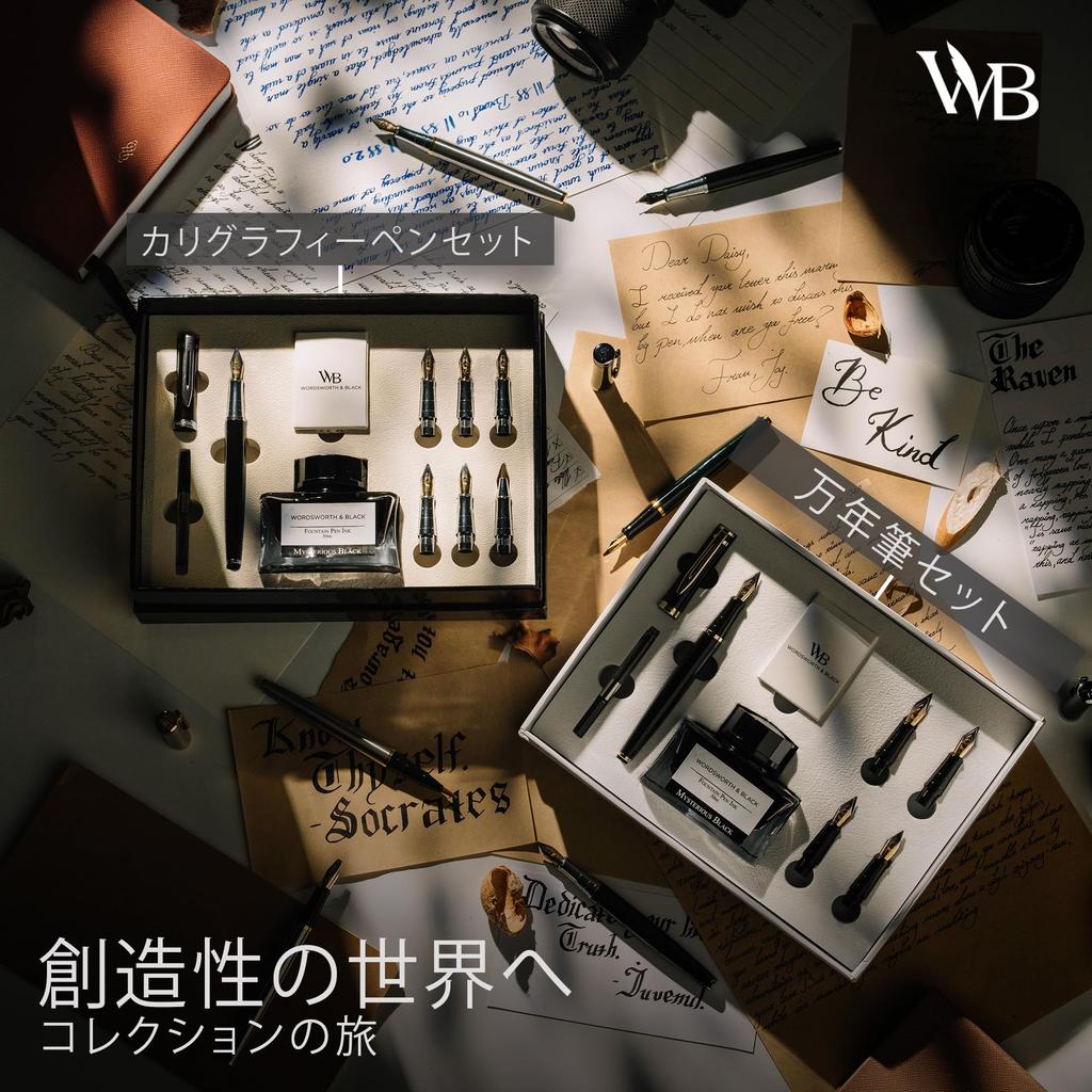 Чернила для авторучки Wordsworth Black, подарочные, 6 стержней для чернил, 4 сменных пера, ручка Premium Smooth Writing Pen & Set, флакон, картриджи, конвертер, перья,