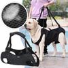 Dog Assistance Belt Senior Elderly Dog Disabled Dog Rehabilitation Exercise Strap Assistance