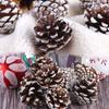 White Edge Pine Cones Christmas Tree Pendant Christmas Christmas Decoration Natural Natural Real Pine Cones Pine Cones