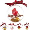 Nature's Birds Ball Plastic Ball Decoration Ornament 3D Animal Clear Christmas Tree Memorial Gift