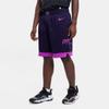 Nike Мужские шорты Nike Dri-FIT NBA Swingman Minnesota Timberwolves City Edition HM6045-525
