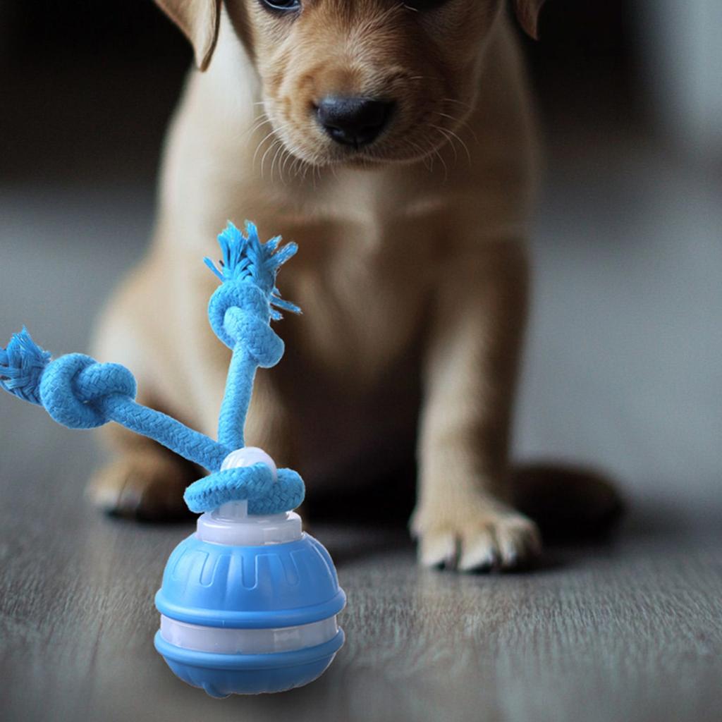 Интерактивные игрушки для собак, новые игрушки для собак с пищалкой, активный катящийся мяч для щенков и средних собак, перезаряжаемый через USB