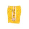 Nike Баскетбольные шорты мужские желтые BV5873-728