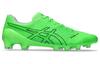 Asics Ds Light Acros 2 'Зеленый Геккон Черный' 1101A046-300