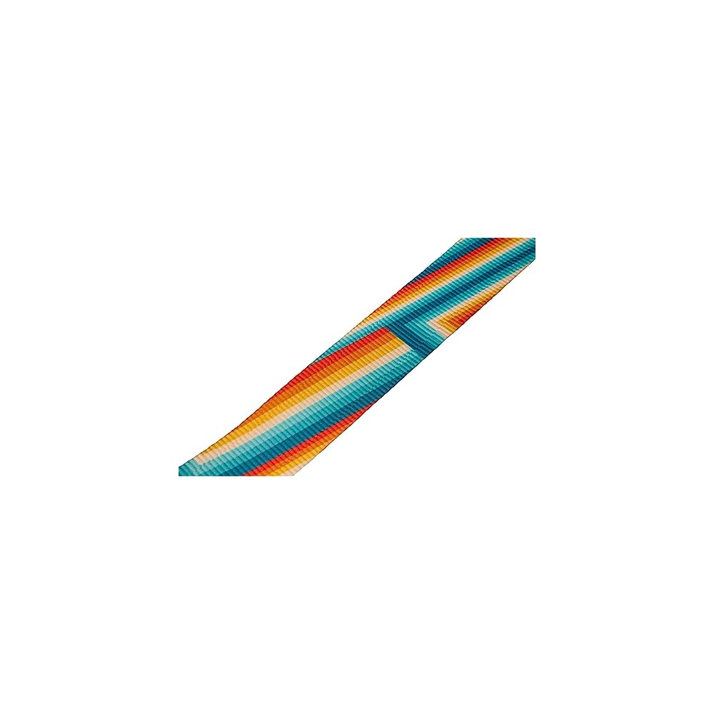 Fender/Retro Rainbow Strap [Guitar Strap]