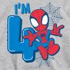 Spider-Man Childrens/Kids Heather Pull Over 4th Birthday Hoodie