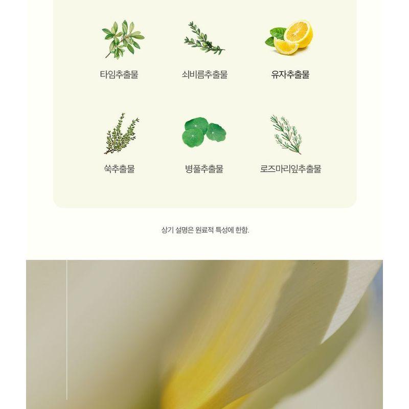 THE PURE LOTUS Шампунь с листьями лотоса для средней и сухой кожи головы Jumbo