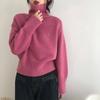 Autumn and Winter Korean Casual Solid Color High Collar Sweater Warm Knitted Sweater Top Women's Clothing