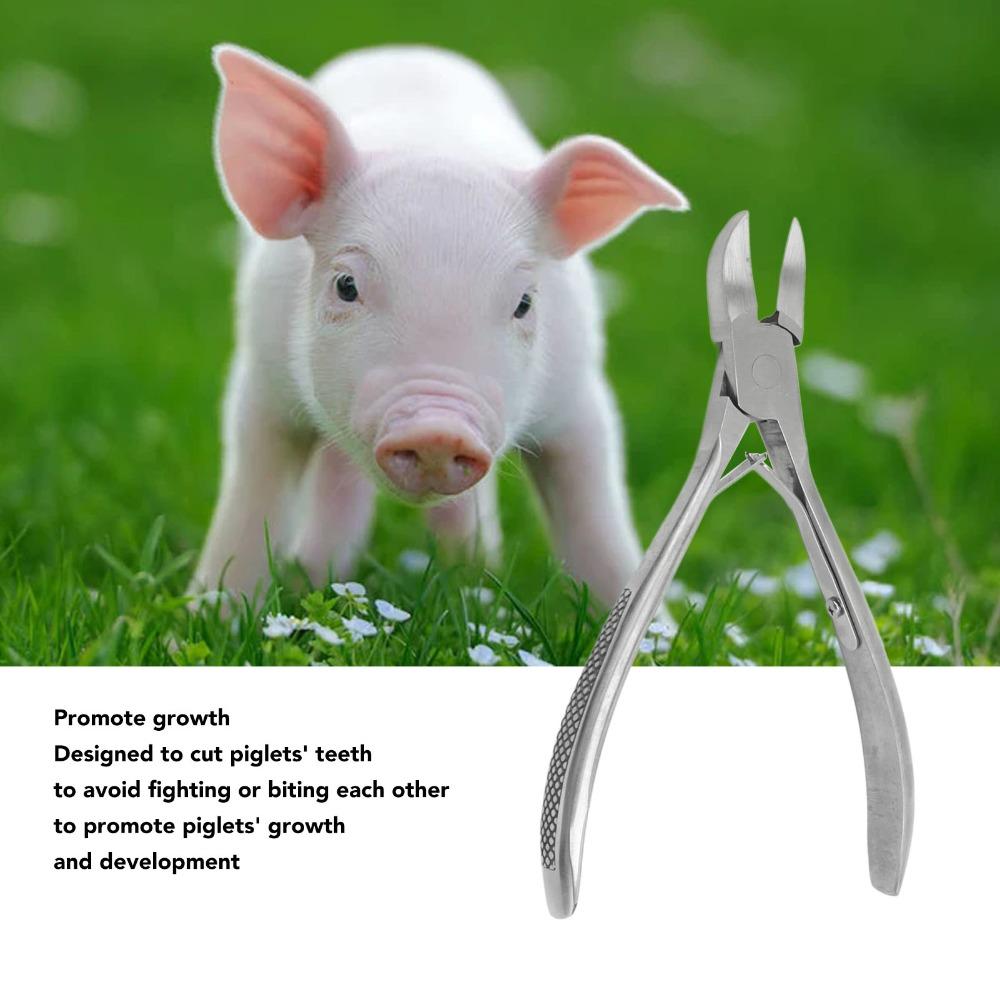 Stainless Steel Piglet Teeth Cutter Polished Surface Ergonomic Handle Pig Tooth Nipper Integral Locking Spring Rust Protection