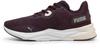Кроссовки Disperse XT 3 (379010-12) midnight plum/rosebay/white