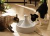 PetSafe Автоматическая поилка для собак и кошек Drinkwell 360 Pet Fountain