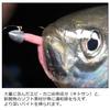 Major Craft Bio Bait Aiteru 2 inch BAIO-AI 2 Sardine