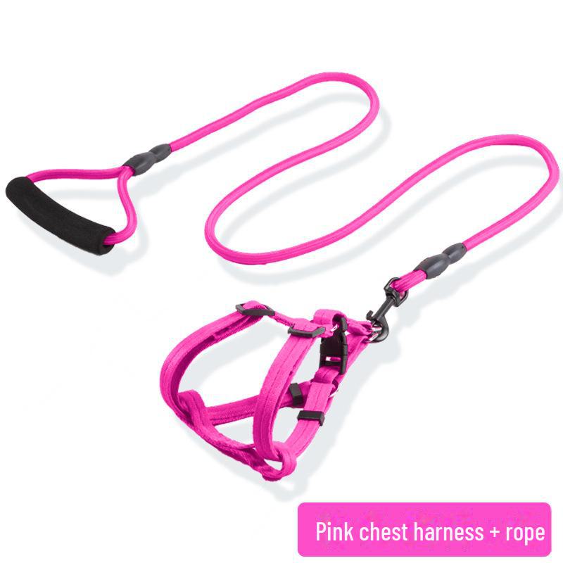 Регулируемый комплект поводка и ошейника для маленьких, средних и крупных собак - Идеально подходит для выгула домашних питомцев, таких как тедди и золотистый ретривер