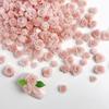 Розовая Серия Аксессуары для Маникюра Сушеная Роза Чистое Желание Резьба Розы DIY Серьги Заколки для Волос Набор Материалов для Маникюра с Смолой