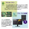 BenQ Japan BenQ GW2480 Eye Care Monitor с автоматической регулировкой яркости тонкий VGA черный (23,8 дюйма/Full HD/IPS/Оборудован (БИ)/Ультра